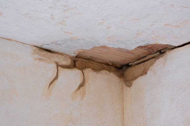 Best Ceiling water damage repair  in Lake Hamilton, FL