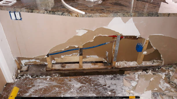 Best Basement water damage restoration  in Lake Hamilton, FL