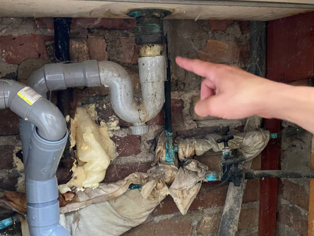 Best Water damage restoration services  in Lake Hamilton, FL