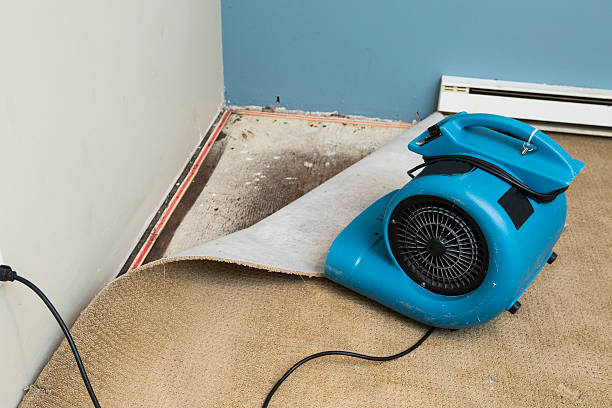 Best Flood restoration services  in Lake Hamilton, FL